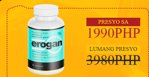 Erogan Philippines (2)