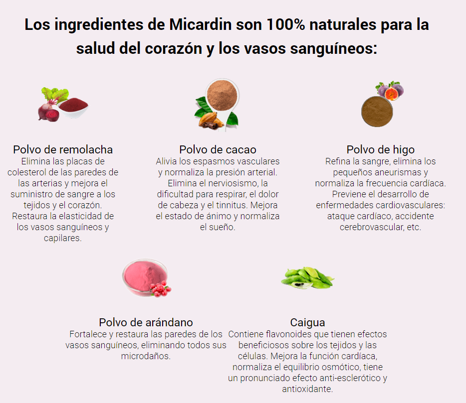 Micardin Ingredientes