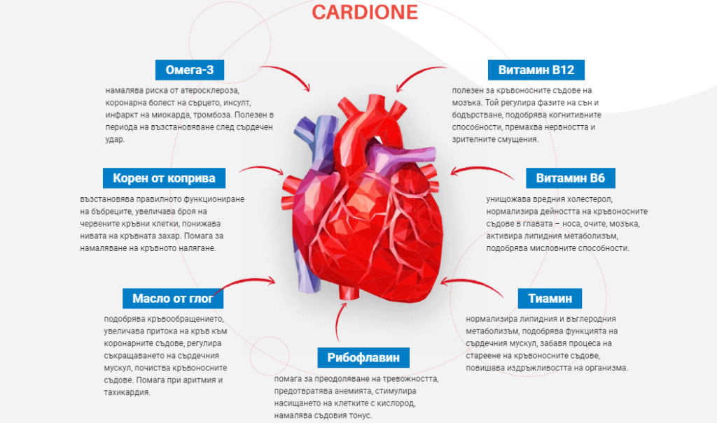 Cardione Съставки