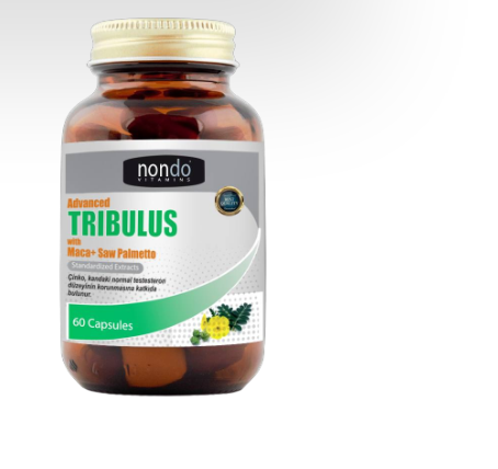 Tribulus Libya 3