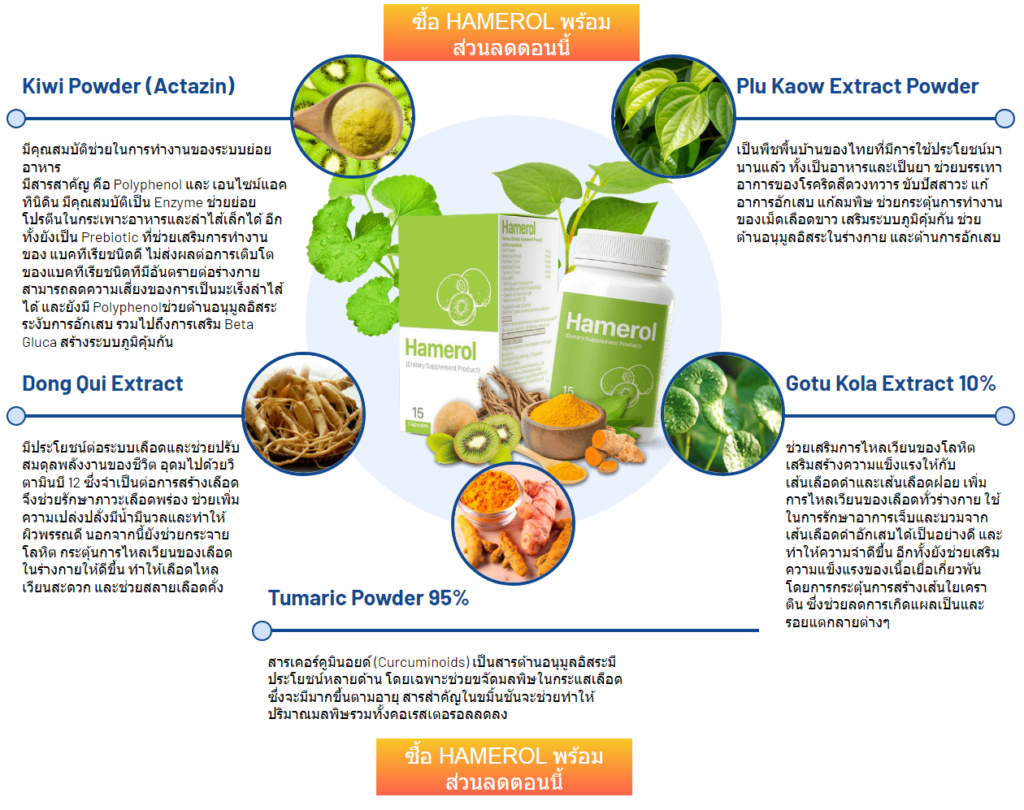Hamerol ราคา
